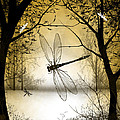 A Touch of Autumn